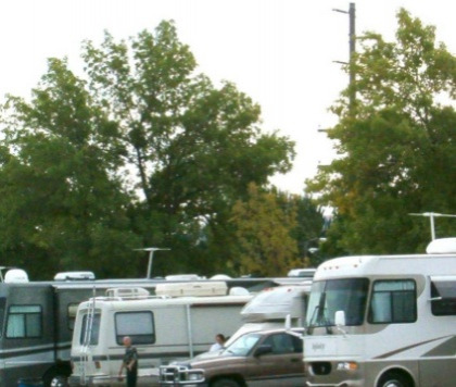 RVs parked side by side under some trees